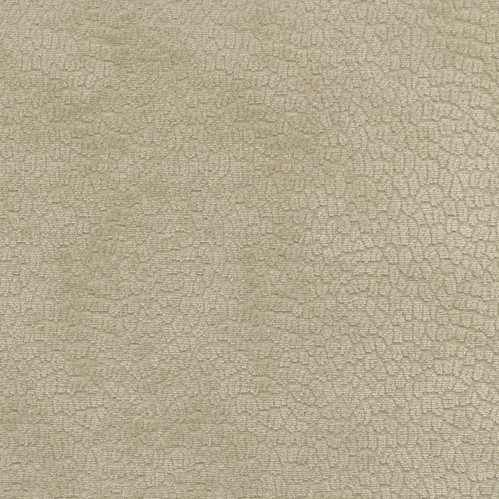 Performance Pebblestone Flax 411483 by PKL Studio Designer Fabric - 100% polyester China 51000 Horizontal: 6.8 and Vertical: 6.8 55 - Swanky Fabrics -