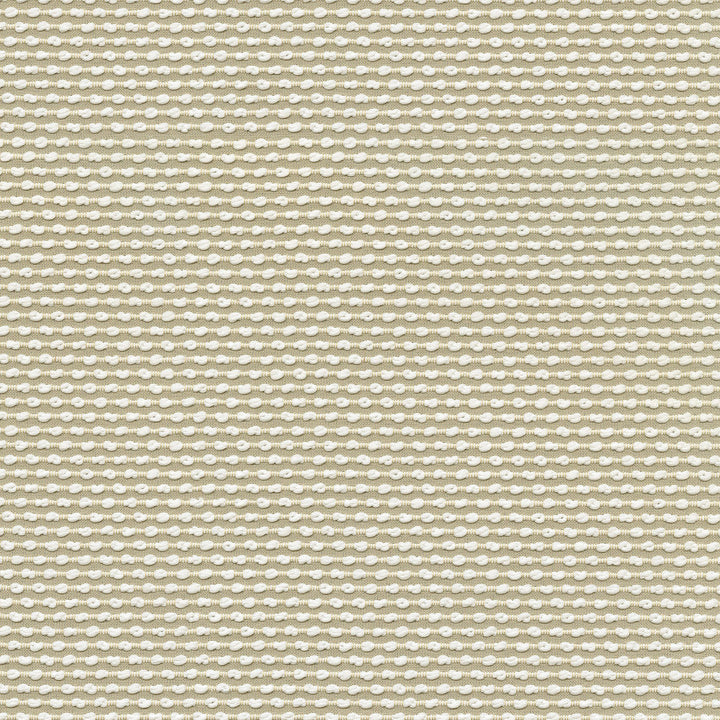 Breuer Pachment 411510 by PKL Studio Designer Fabric - 100% polyester China 24000 Horizontal: .4 and Vertical: .5 56 - Swanky Fabrics -