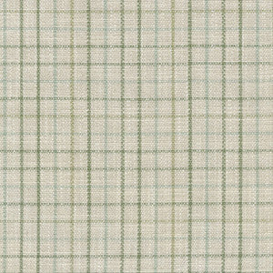 PKL Studio Fabric Keep In Check Spring 411582