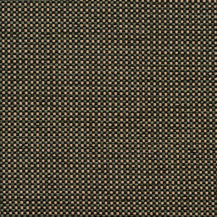 4115 Alpine by Charlotte Designer Fabric Decorative Durables X 100% Olefin Made In USA Exceeds 500,000 Wyzenbeek Rubs (Heavy Duty) No Repeat 54 Inches - Swanky Fabrics -