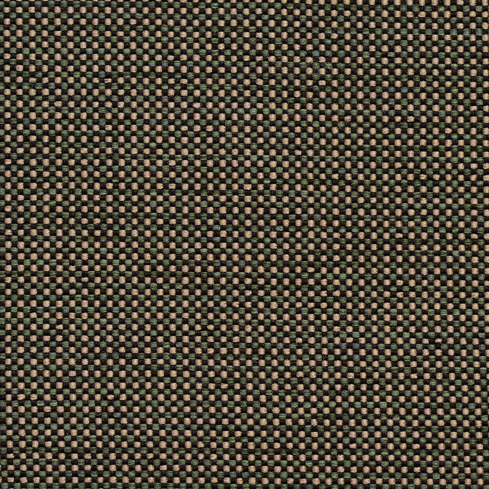 4115 Alpine by Charlotte Designer Fabric Decorative Durables X 100% Olefin Made In USA Exceeds 500,000 Wyzenbeek Rubs (Heavy Duty) No Repeat 54 Inches - Swanky Fabrics -
