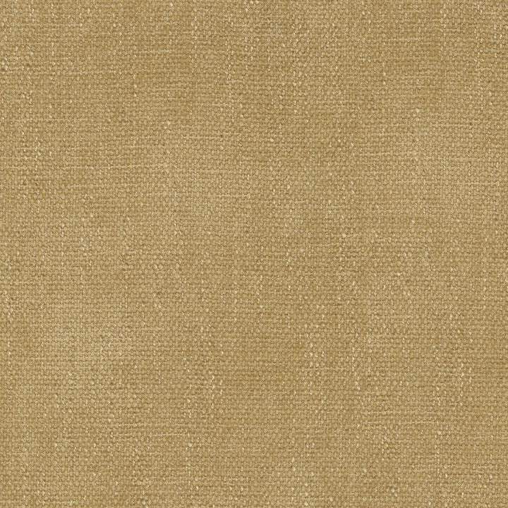 Perf Rowan Gold 411724 by PKL Studio Designer Fabric 100% Polyester China 51000 Horizontal: N/A and Vertical: N/A 54 - Swanky Fabrics -