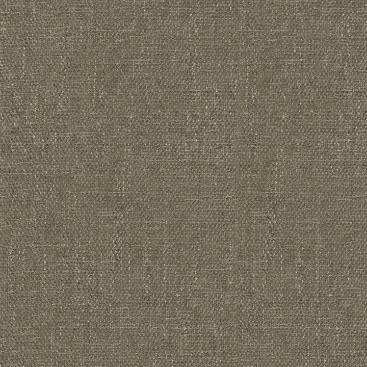 Perf Rowan Taupe 411728 by PKL Studio Designer Fabric 100% Polyester China 51000 Horizontal: N/A and Vertical: N/A 54 - Swanky Fabrics -