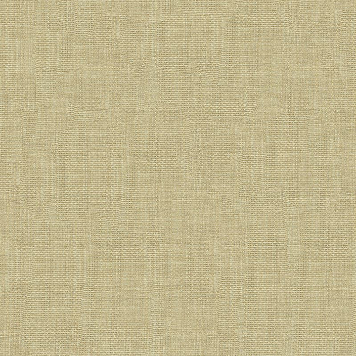 4118.1116 by Kravet Basics Designer Fabric our website for purchase Polyester 100% Turkey see sample Horizontal: see sample and Vertical: see sample 118 inches - Swanky Fabrics -