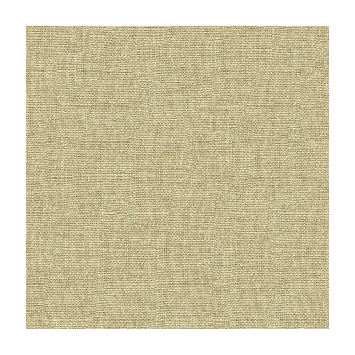 4118-1116 by Kravet Basics Designer Fabric POLYESTER - 100% Turkey Horizontal: and Vertical: 118 - Swanky Fabrics -