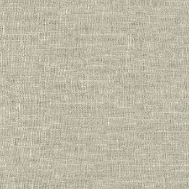 Chester Driftwood 412051 by PKL Studio Designer Fabric 58% Linen, 42% Rayon China 24000 Horizontal: N/A and Vertical: N/A 54 - Swanky Fabrics -