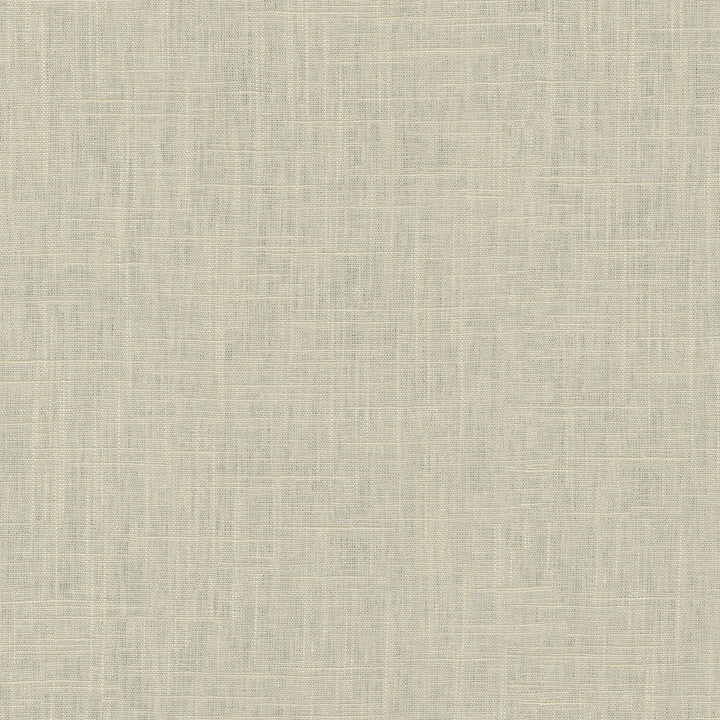 Chester Sesame 412055 by PKL Studio Designer Fabric 58% Linen, 42% Rayon China 24000 Horizontal: N/A and Vertical: N/A 54 - Swanky Fabrics -