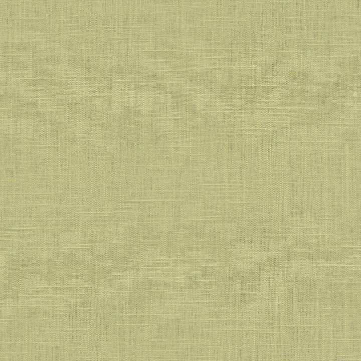 Chester Spring 412079 by PKL Studio Designer Fabric 58% Linen, 42% Rayon China 24000 Horizontal: N/A and Vertical: N/A 54 - Swanky Fabrics -