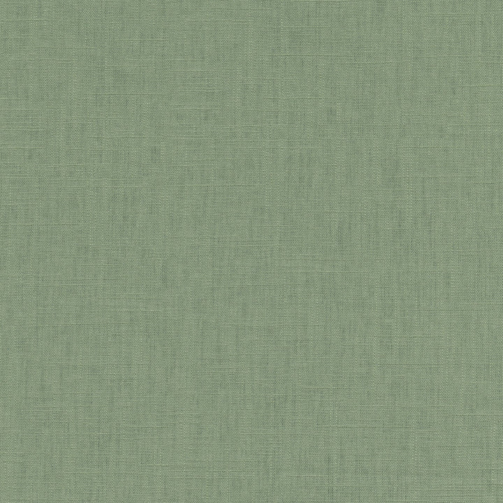 Chester Aloe 412080 by PKL Studio Designer Fabric 58% Linen, 42% Rayon China 24000 Horizontal: N/A and Vertical: N/A 54 - Swanky Fabrics -