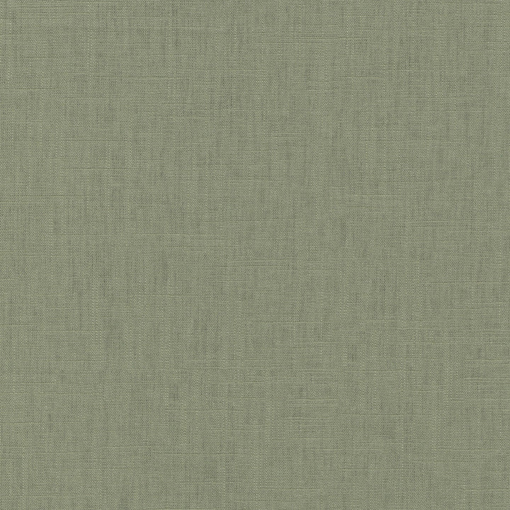 Chester Bay Leaf 412081 by PKL Studio Designer Fabric 58% Linen, 42% Rayon China 24000 Horizontal: N/A and Vertical: N/A 54 - Swanky Fabrics -