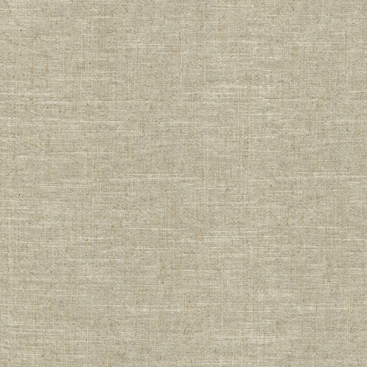 Montecito Flax 412090 by PKL Studio Designer Fabric 55% Linen, 45% Cotton China 39000 Horizontal: N/A and Vertical: N/A 54 - Swanky Fabrics -