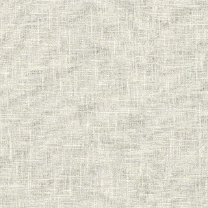 Montecito Coconut 412092 by PKL Studio Designer Fabric 55% Linen, 45% Cotton China 39000 Horizontal: N/A and Vertical: N/A 54 - Swanky Fabrics -
