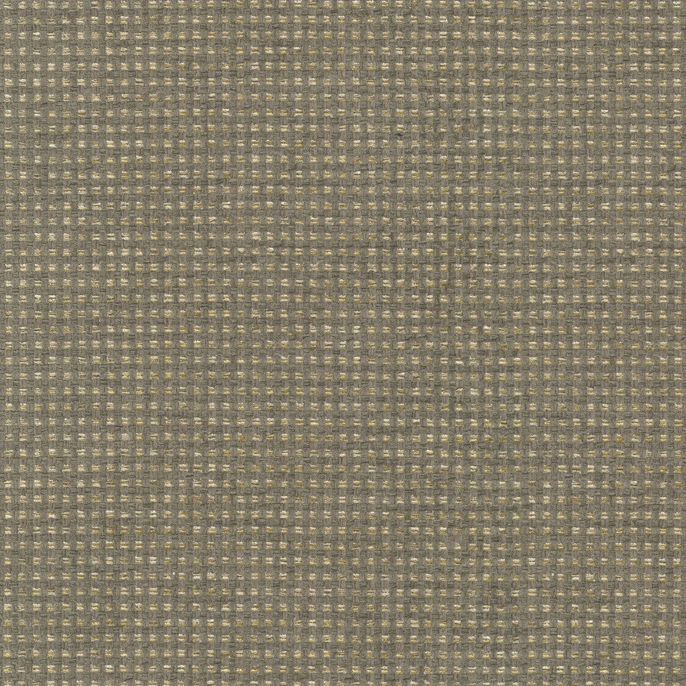 Tahitian Basket Shale 412123 by PKL Studio Designer Fabric 100% Polyester India 51000 Horizontal: 0.25 and Vertical: 0.25 54 - Swanky Fabrics -