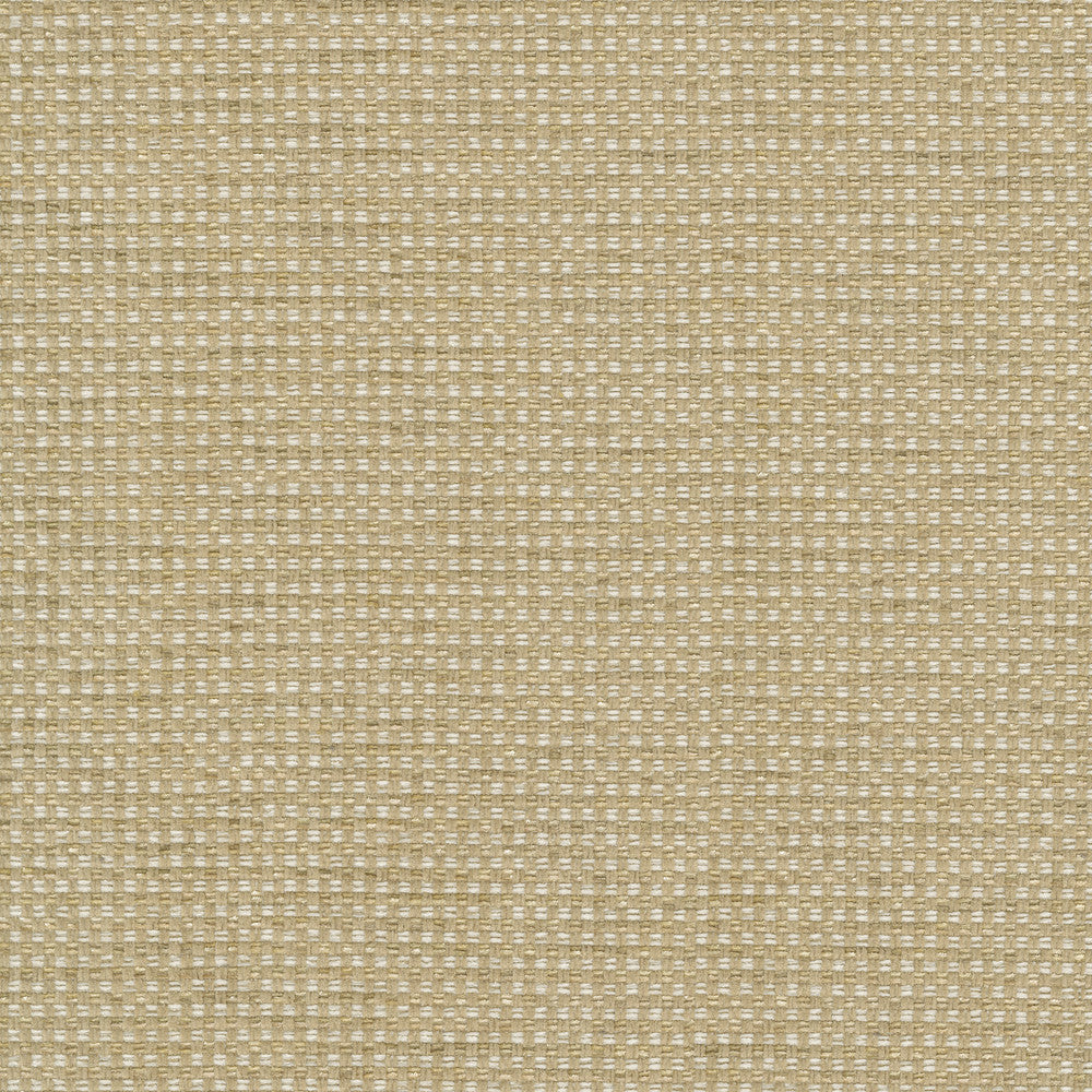 Tahitian Basket Rattan 412124 by PKL Studio Designer Fabric 100% Polyester India 51000 Horizontal: 0.25 and Vertical: 0.25 54 - Swanky Fabrics -