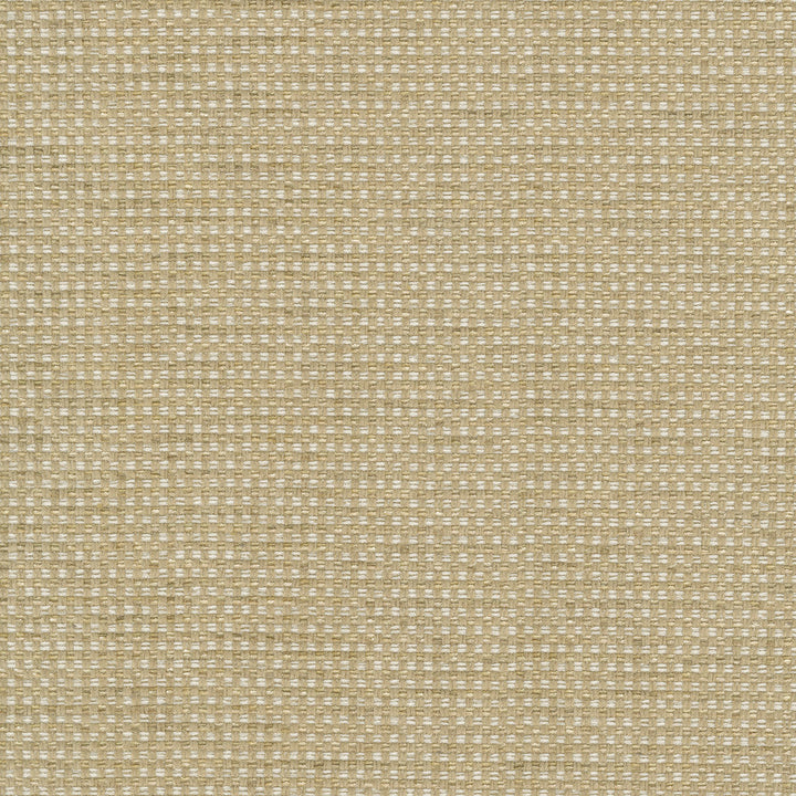 Tahitian Basket Rattan 412124 by PKL Studio Designer Fabric 100% Polyester India 51000 Horizontal: 0.25 and Vertical: 0.25 54 - Swanky Fabrics -