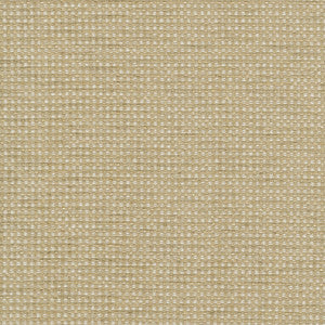 PKL Studio Fabric Tahitian Basket Rattan 412124