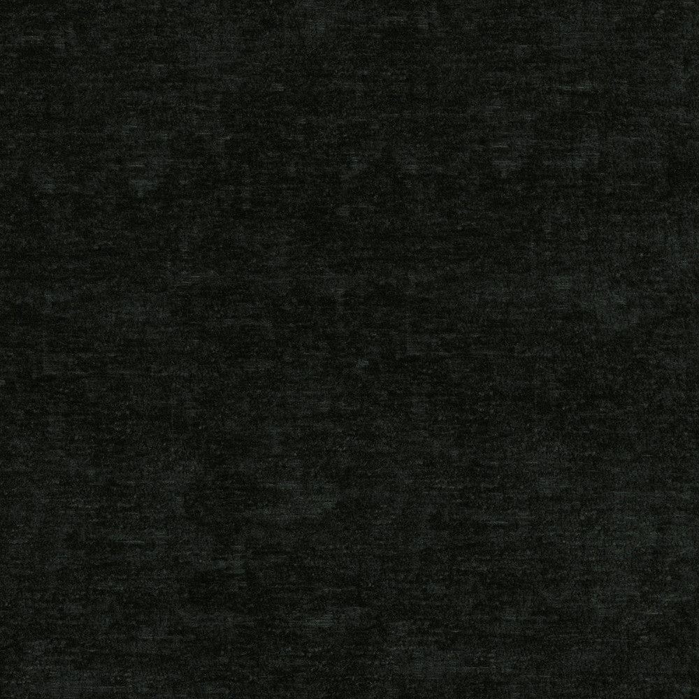 Lushscape Onyx 412296 by PKL Studio Designer Fabric 100% Recycled Polyester China 51000 Horizontal: N/A and Vertical: N/A 54/55 - Swanky Fabrics -