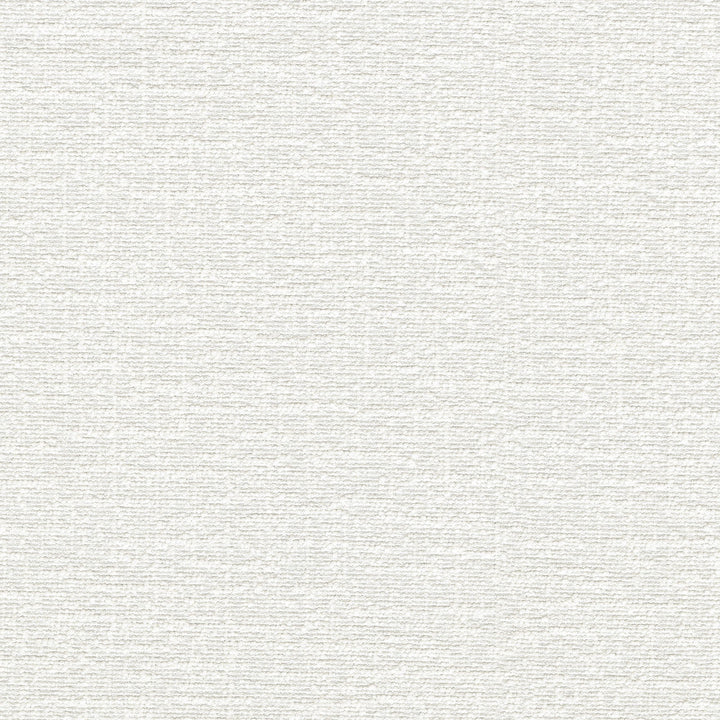 Cirrus White 412331 by PKL Studio Designer Fabric 100% polyester China 100000 Horizontal: 0 and Vertical: 0 54 - Swanky Fabrics -