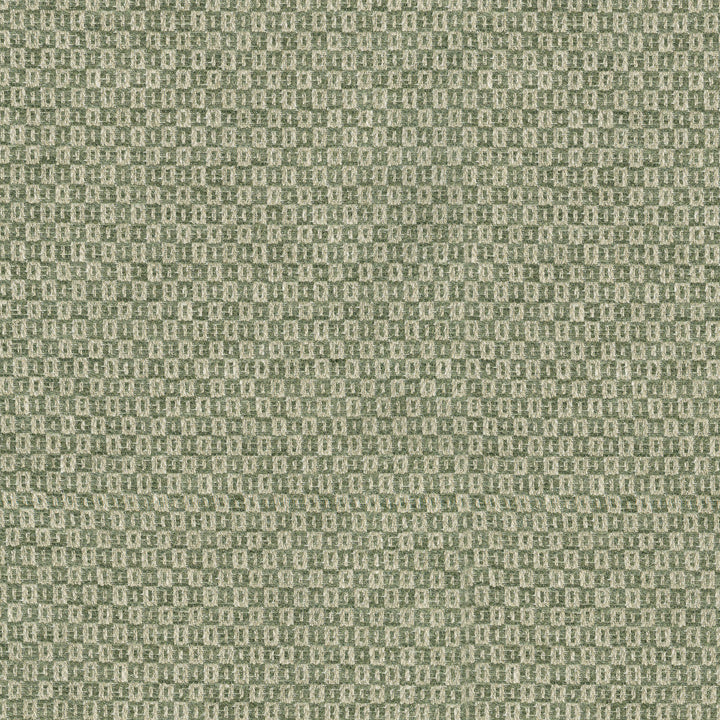 Parque Loden 412352 by PKL Studio Designer Fabric 82% polyester, 18% cotton India 51000 Horizontal: 0.5 and Vertical: 0.63 54 - Swanky Fabrics -