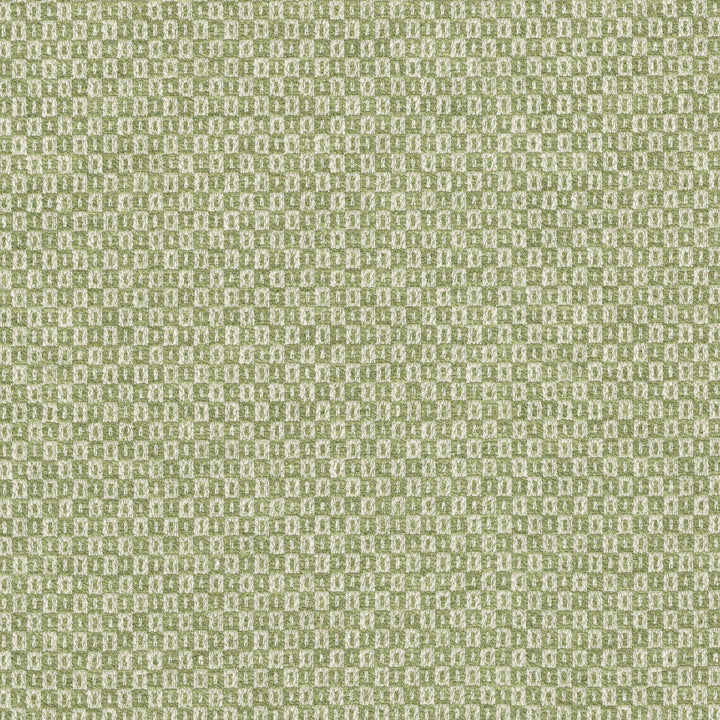 Parque Spring 412353 by PKL Studio Designer Fabric 82% polyester, 18% cotton India 51000 Horizontal: 0.5 and Vertical: 0.63 54 - Swanky Fabrics -