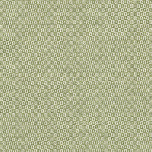 PKL Studio Fabric Parque Spring 412353