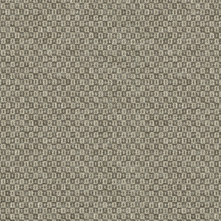 Parque Driftwood 412357 by PKL Studio Designer Fabric 82% polyester, 18% cotton India 51000 Horizontal: 0.5 and Vertical: 0.63 54 - Swanky Fabrics -