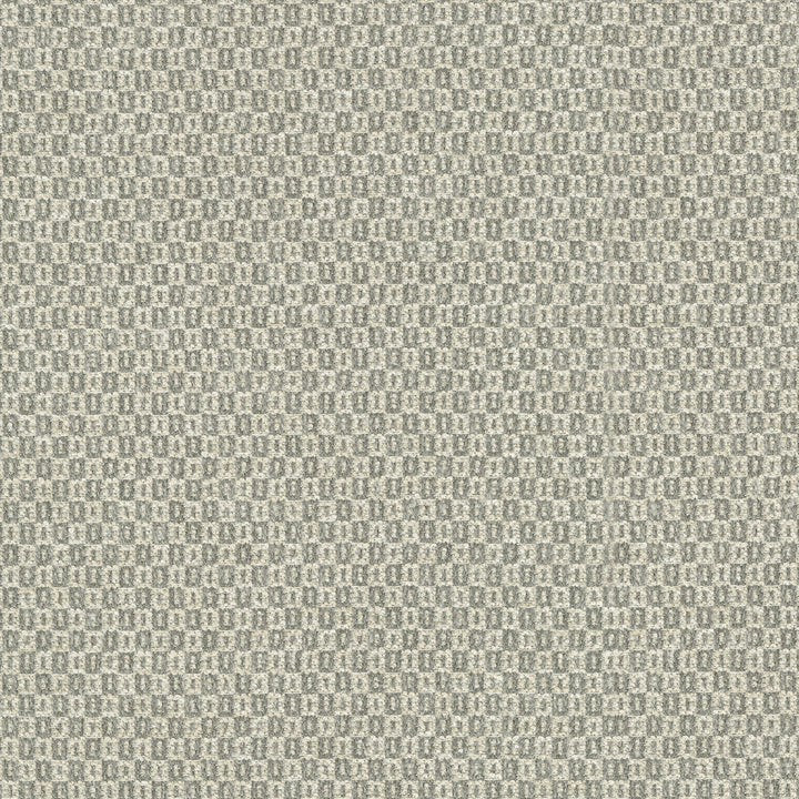 Parque Sterling 412358 by PKL Studio Designer Fabric 82% polyester, 18% cotton India 51000 Horizontal: 0.5 and Vertical: 0.63 54 - Swanky Fabrics -