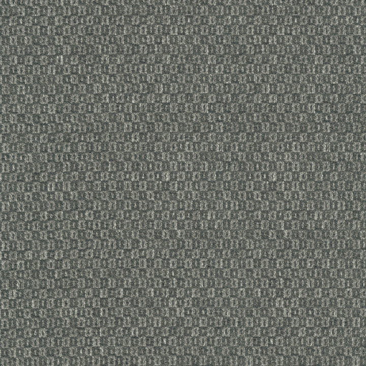 Parque Charcoal 412359 by PKL Studio Designer Fabric 82% polyester, 18% cotton India 51000 Horizontal: 0.5 and Vertical: 0.63 54 - Swanky Fabrics -