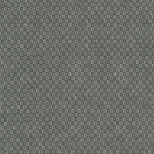 PKL Studio Fabric Parque Charcoal 412359