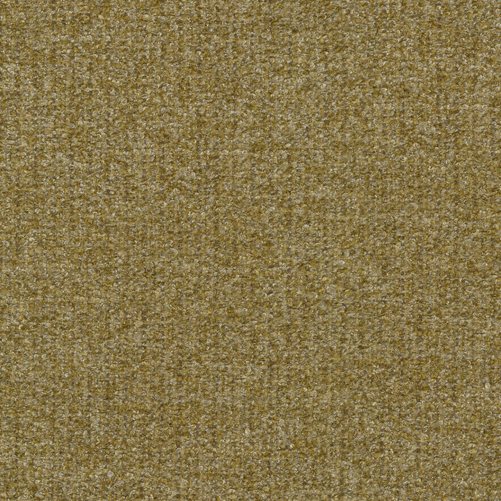 Ventura Gold 412523 by PKL Studio Designer Fabric 100% polyester India 51000 Horizontal: n/a and Vertical: n/a 54 - Swanky Fabrics -