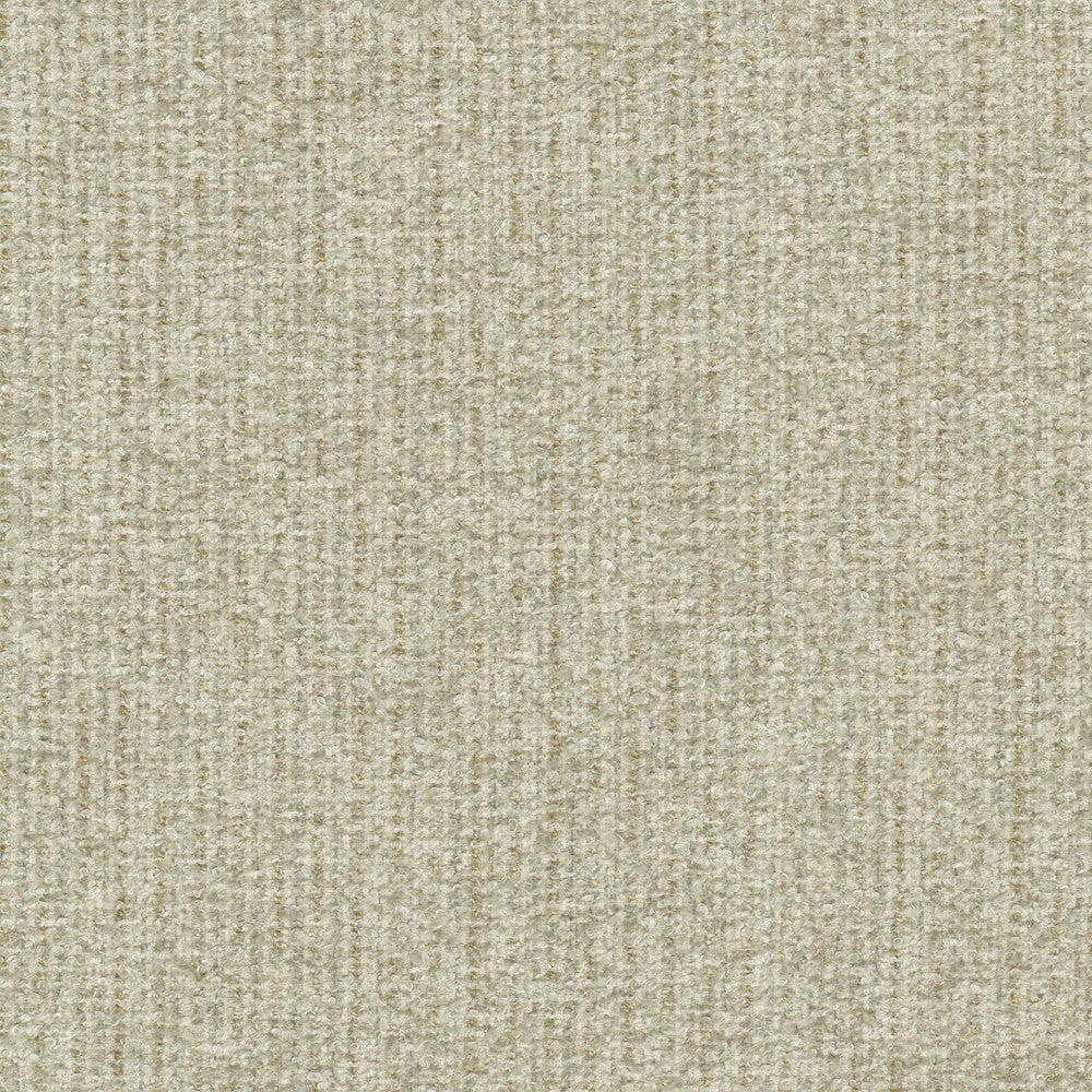 Ventura Papyrus 412526 by PKL Studio Designer Fabric 100% polyester India 51000 Horizontal: n/a and Vertical: n/a 54 - Swanky Fabrics -