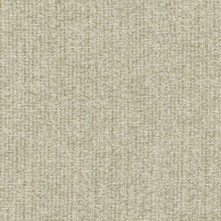 Ventura Papyrus 412526 by PKL Studio Designer Fabric 100% polyester India 51000 Horizontal: n/a and Vertical: n/a 54 - Swanky Fabrics -