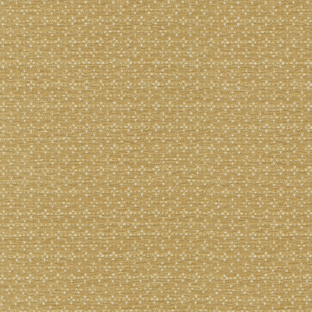 Elara Oro 412621 by PKL Studio Designer Fabric 100% polyester China 24000 Horizontal: 0.5 and Vertical: 0.88 54/55 - Swanky Fabrics -