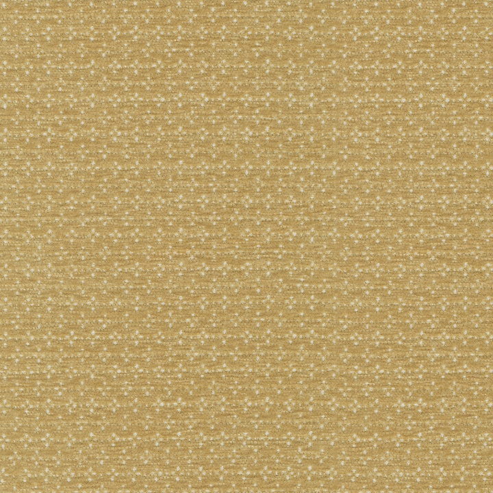 Elara Oro 412621 by PKL Studio Designer Fabric 100% polyester China 24000 Horizontal: 0.5 and Vertical: 0.88 54/55 - Swanky Fabrics -