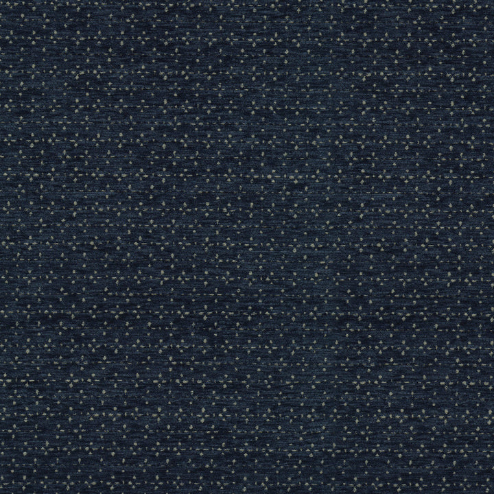 Elara Ink 412623 by PKL Studio Designer Fabric 100% polyester China 24000 Horizontal: 0.5 and Vertical: 0.88 54/55 - Swanky Fabrics -