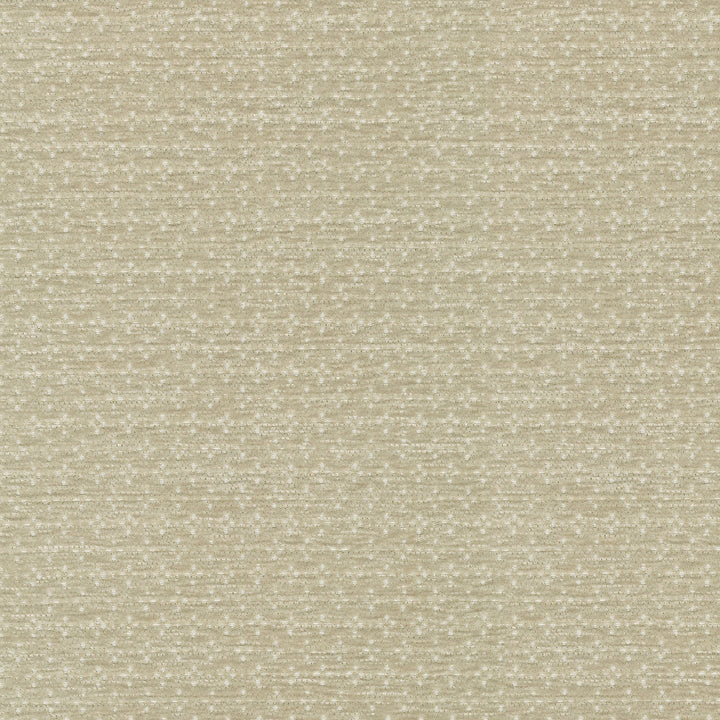 Elara Flax 412626 by PKL Studio Designer Fabric 100% polyester China 24000 Horizontal: 0.5 and Vertical: 0.88 54/55 - Swanky Fabrics -