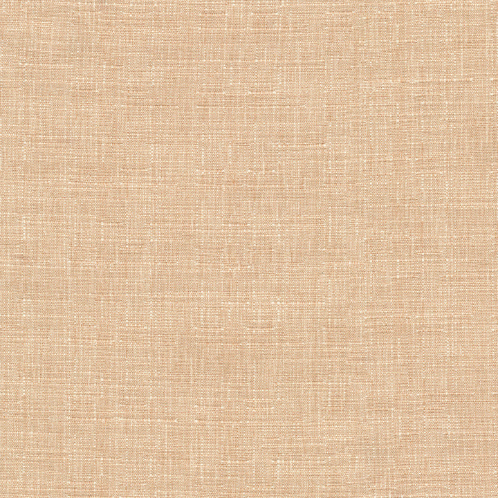 Avalon Cameo 412855 by PKL Studio Designer Fabric 74% cotton, 26% polyester India 51000 Horizontal: 0 and Vertical: 0 54 - Swanky Fabrics -