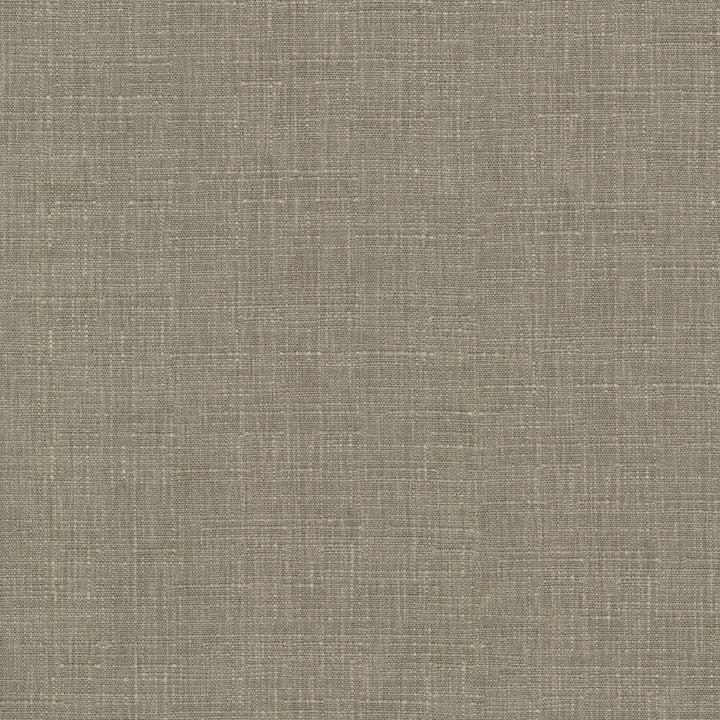 Avalon Mushroom 412857 by PKL Studio Designer Fabric 74% cotton, 26% polyester India 51000 Horizontal: 0 and Vertical: 0 54 - Swanky Fabrics -