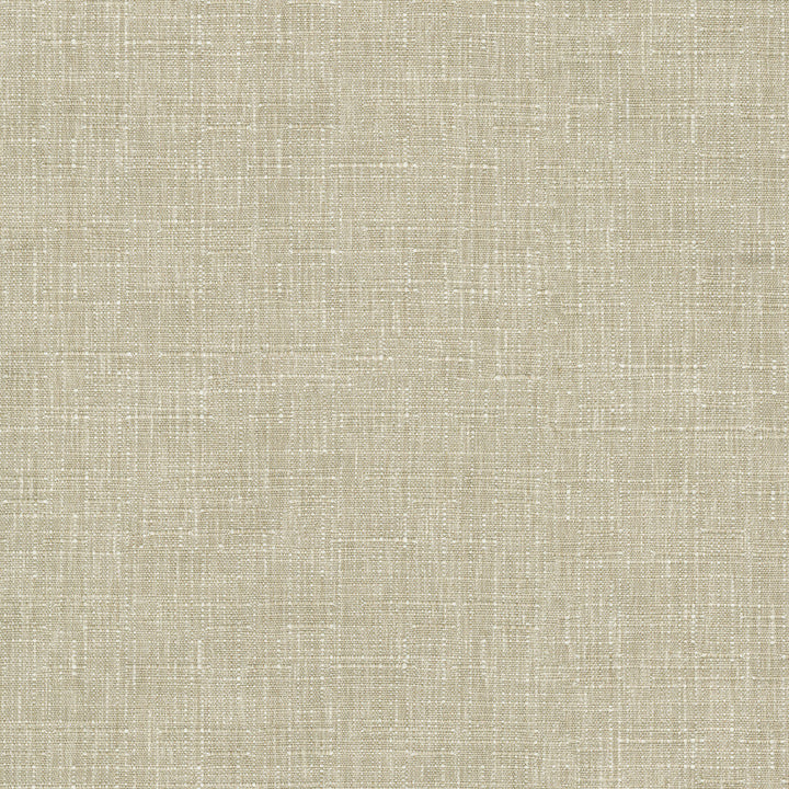 Avalon Taupe 412858 by PKL Studio Designer Fabric 74% cotton, 26% polyester India 51000 Horizontal: 0 and Vertical: 0 54 - Swanky Fabrics -