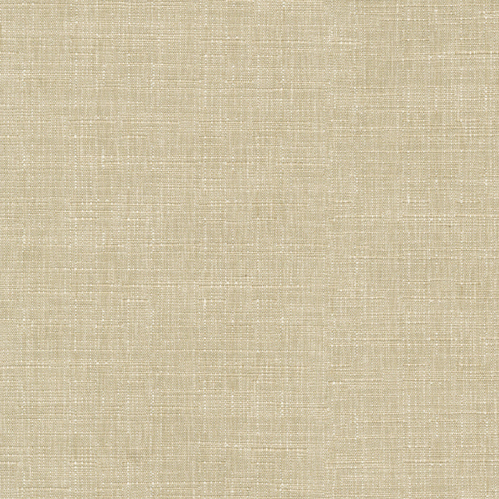 Avalon Oat 412859 by PKL Studio Designer Fabric 74% cotton, 26% polyester India 51000 Horizontal: 0 and Vertical: 0 54 - Swanky Fabrics -