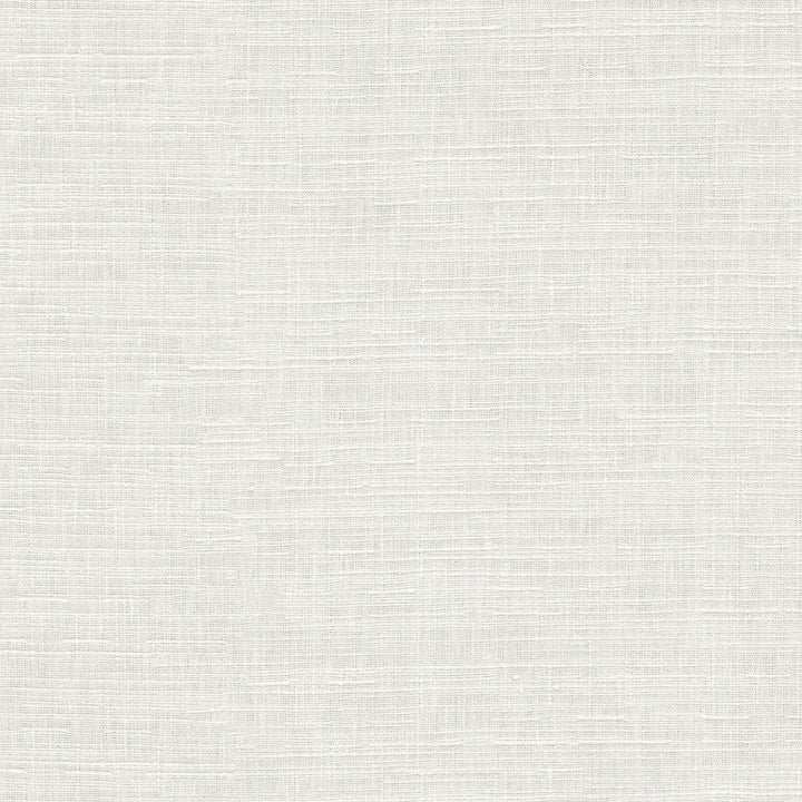 Avalon White 412861 by PKL Studio Designer Fabric 74% cotton, 26% polyester India 51000 Horizontal: 0 and Vertical: 0 54 - Swanky Fabrics -
