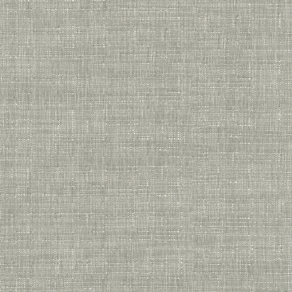 Avalon Sterling 412862 by PKL Studio Designer Fabric 74% cotton, 26% polyester India 51000 Horizontal: 0 and Vertical: 0 54 - Swanky Fabrics -