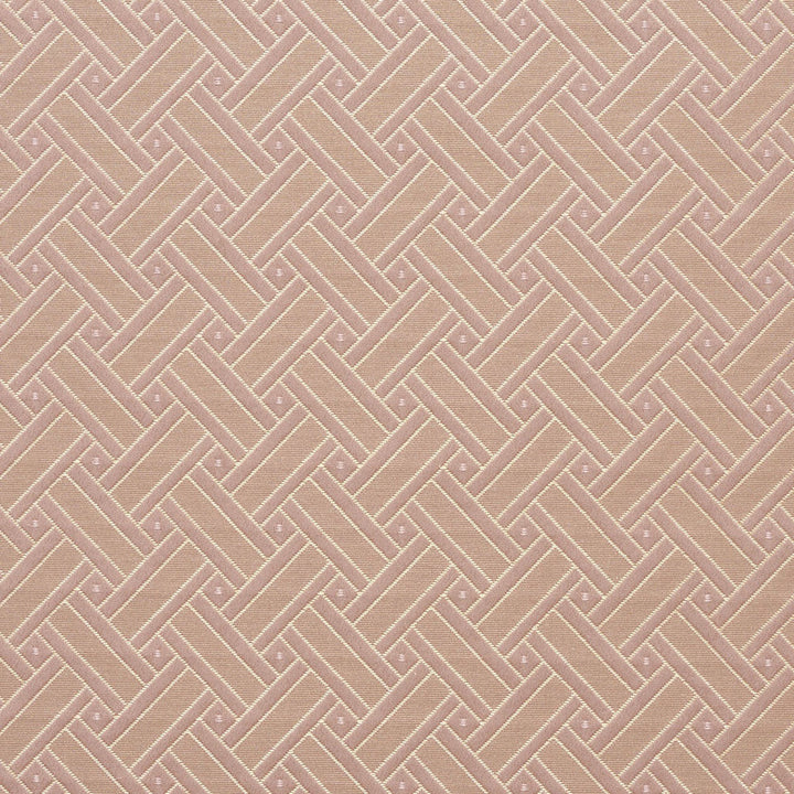 4130 Primrose Lattice by Charlotte Designer Fabric Timeless Treasures II 100% Woven Polyester Asia Exceeds 100,000 Wyzenbeek Rubs (Heavy Duty) Horizontal: 2" x Vertical: 2" 54 Inches - Swanky Fabrics -