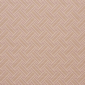 Charlotte Fabric 4130 Primrose Lattice