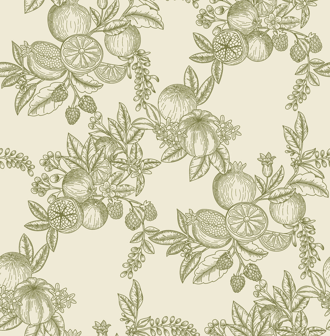 Gerty Green Fruit Toile Wallpaper by A-Street Prints Designer