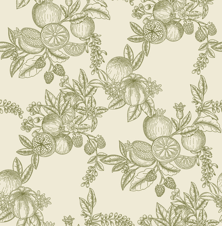 Gerty Green Fruit Toile Wallpaper by A-Street Prints Designer