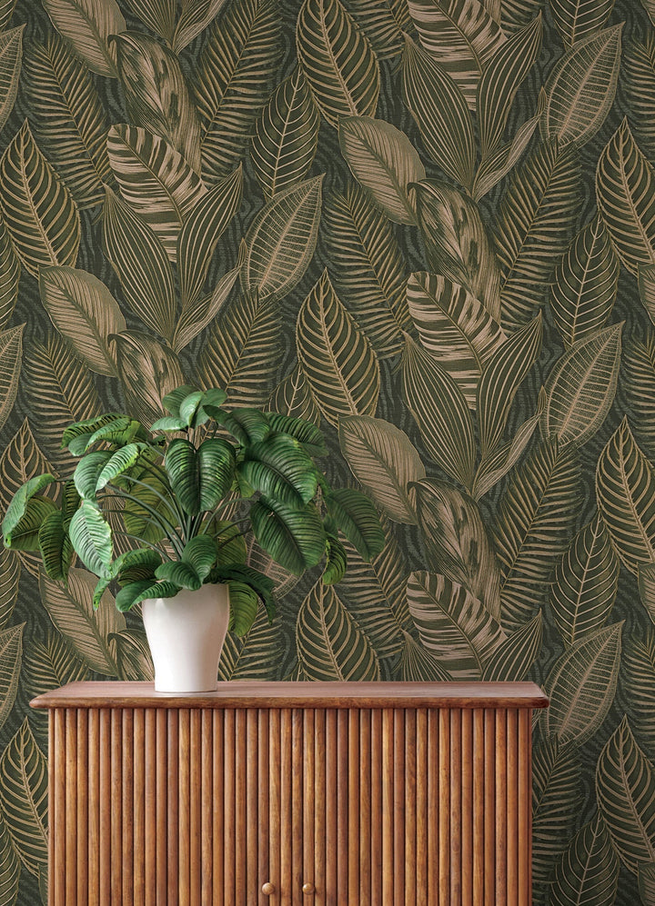 Acacius Dark Green Tropical Foliage Wallpaper by A-Street Prints Designer
