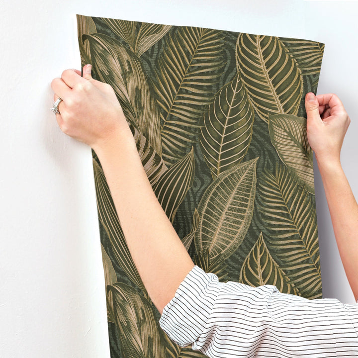 Acacius Dark Green Tropical Foliage Wallpaper by A-Street Prints Designer