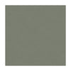 Kravet Fabric Luster Satin Nickel