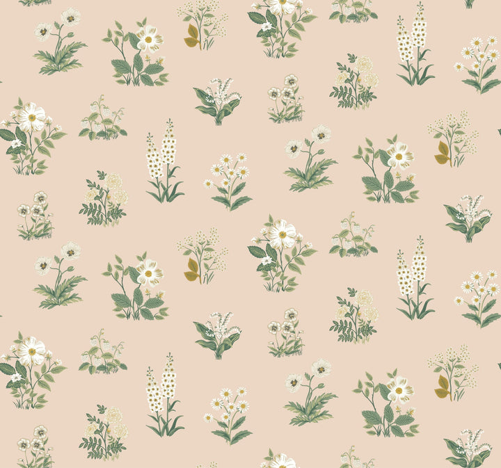 Botanical Blush Wallpaper by Rifle Paper Co. Designer